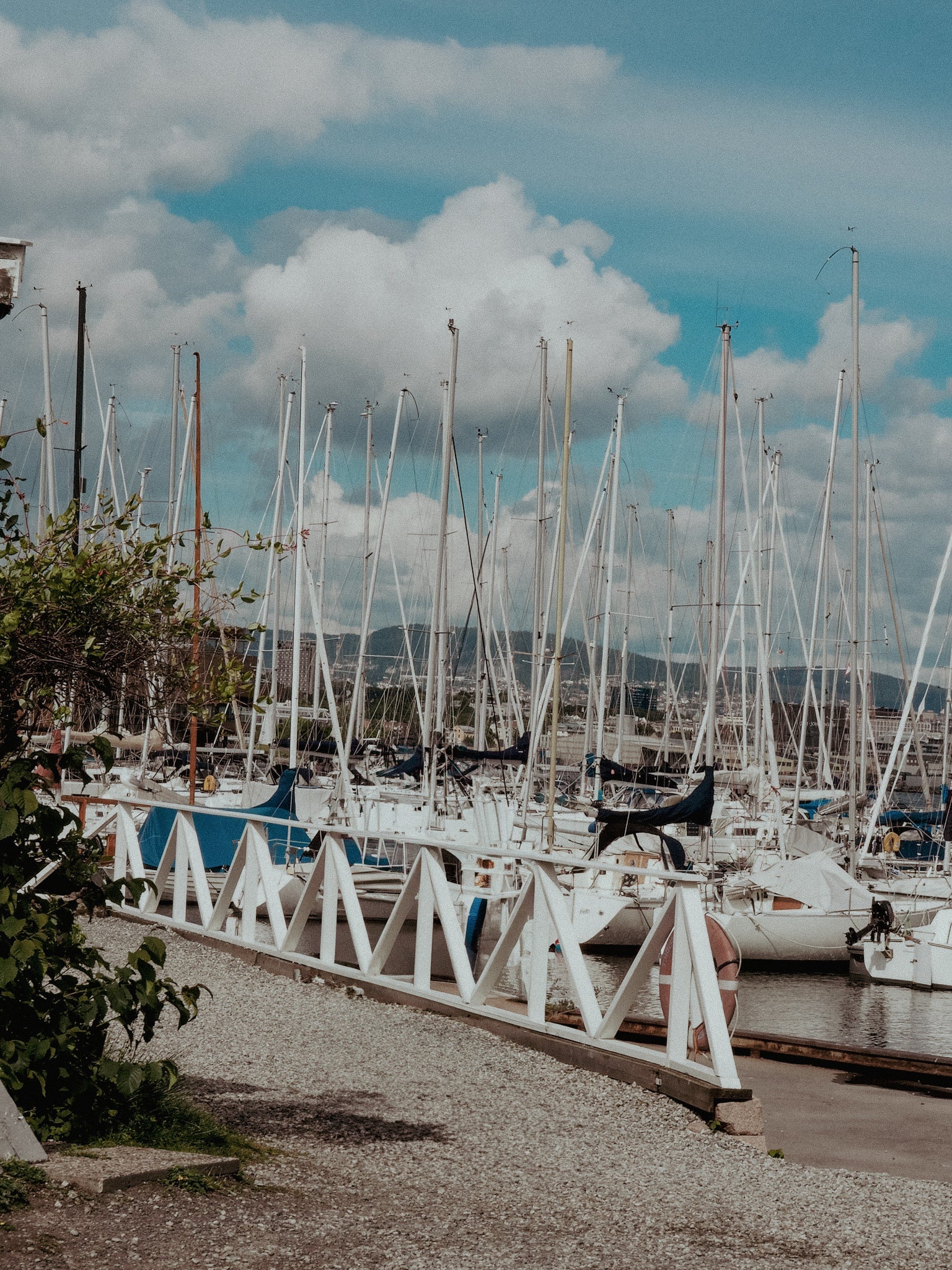 A Norwegian marina with boats docked